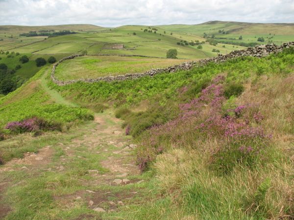 View over Bretton Clough
